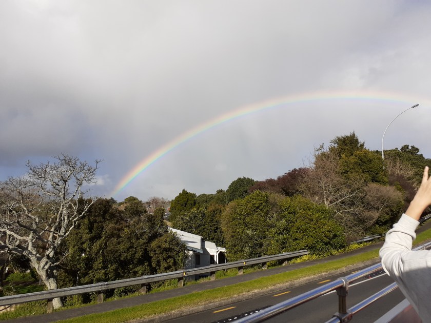 7E26FE82-9711-4D99-9547-FC472E2B31D8